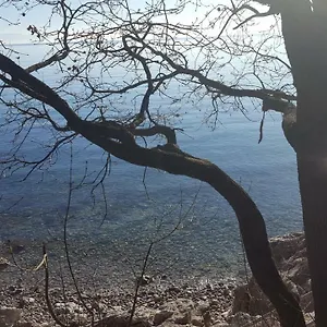 Sandi Apartament